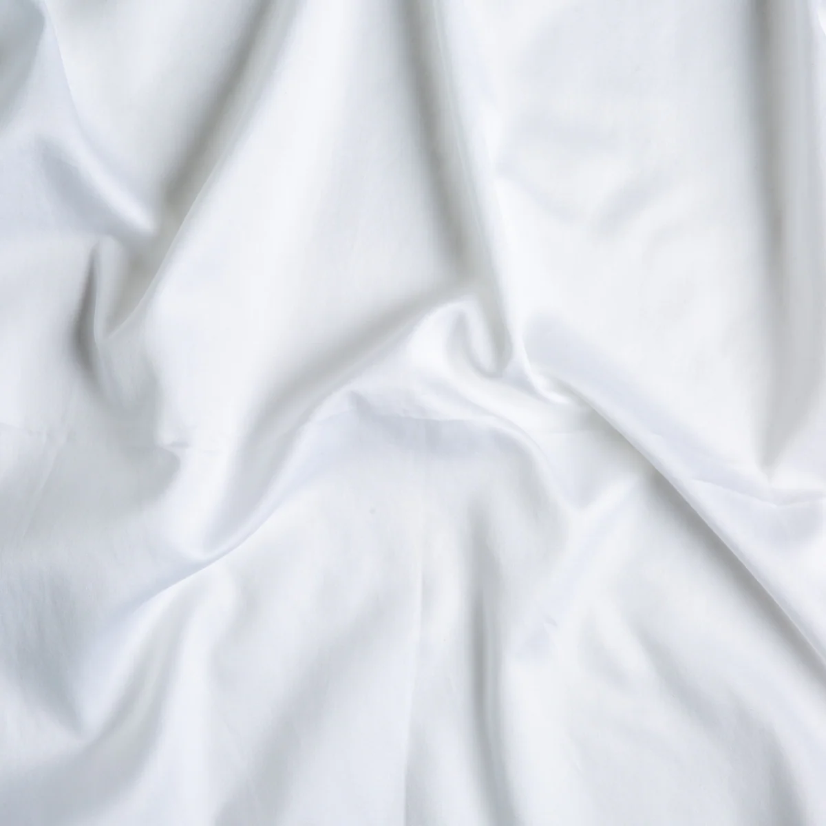 Bria Twin Fitted Sheets - Image 40