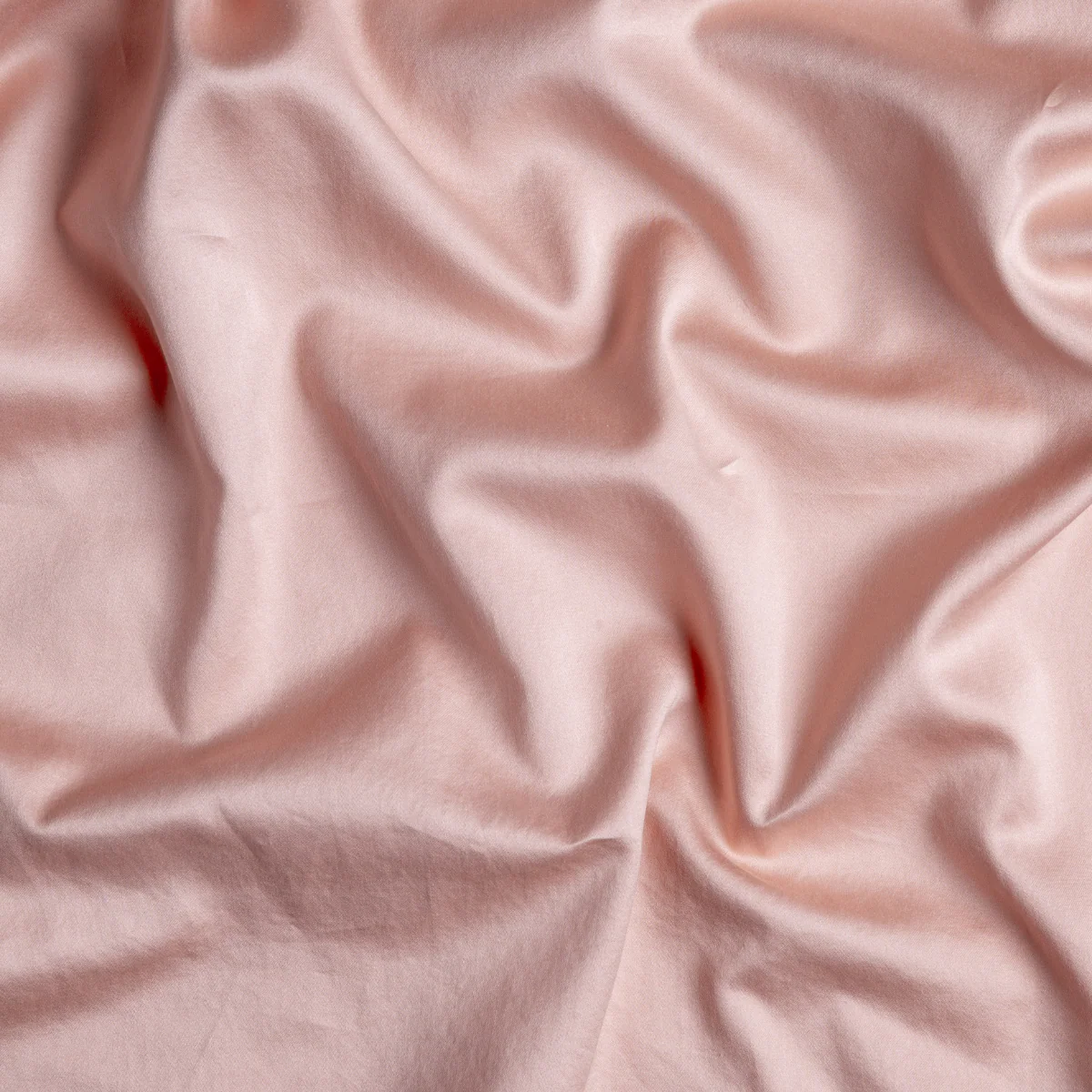 Bria Twin Fitted Sheets - Image 46