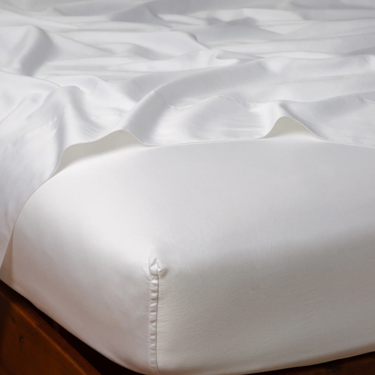 Bria Twin Fitted Sheets - Image 5