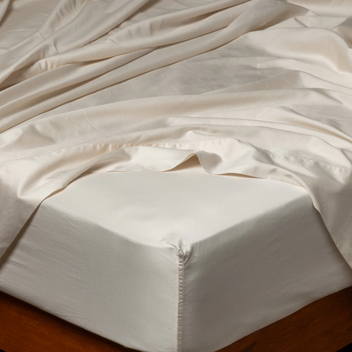 Bria Twin Fitted Sheets - Image 8