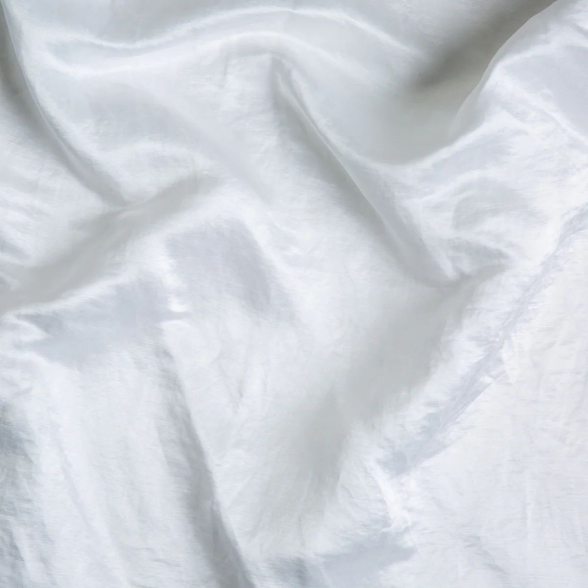 Paloma Sham - Image 17