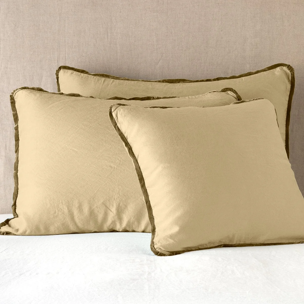 Paloma Sham - Image 7